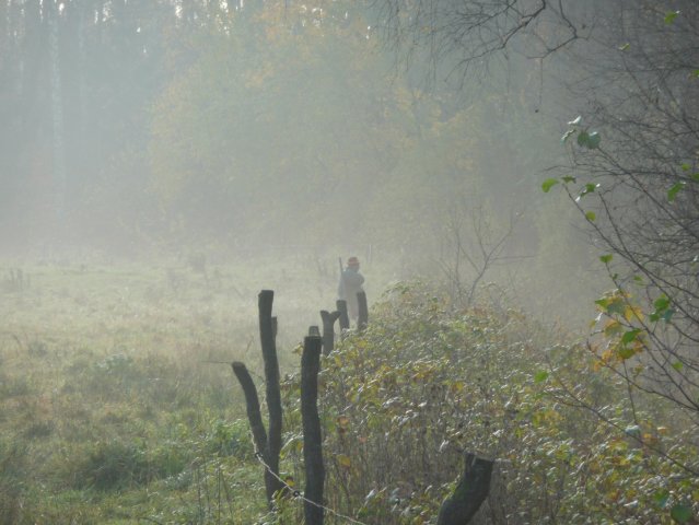Polowania 26.10.08